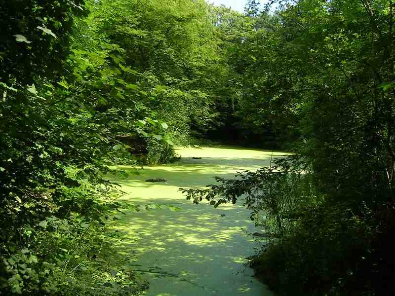 poudrerie, nationale, de, etang